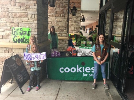 Fitted Table Cover for Girl Scout Cookie Sellers